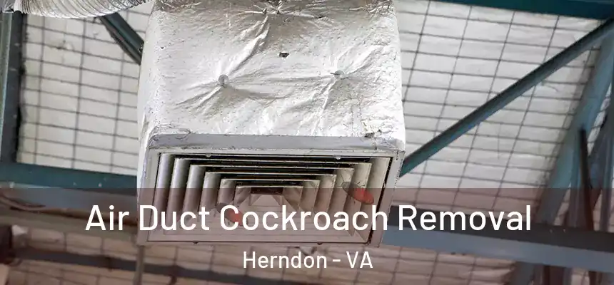 Air Duct Cockroach Removal Herndon - VA