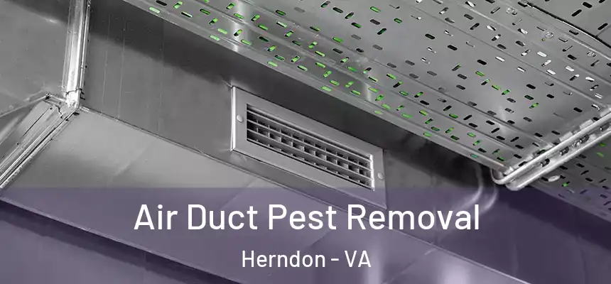 Air Duct Pest Removal Herndon - VA