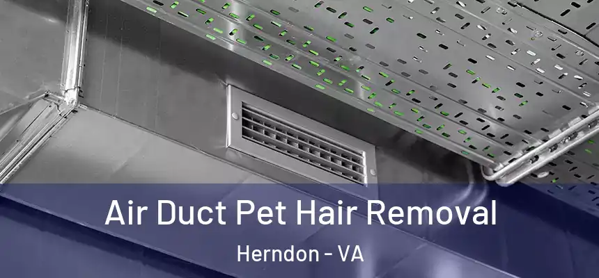  Air Duct Pet Hair Removal Herndon - VA