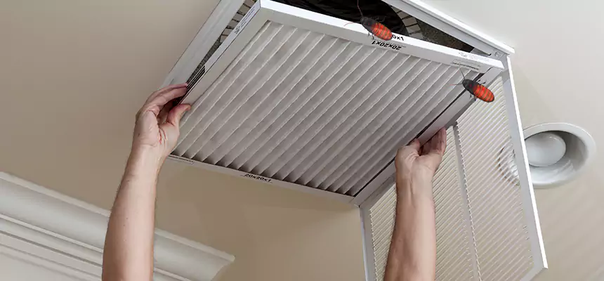 Preventive Cockroach-Proofing for Ducts in Herndon