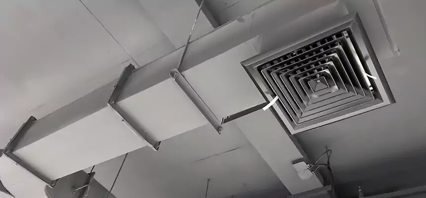 Restorative Allergy Relief Vent Cleaning – Coil, Blower & Housing Detail in Herndon