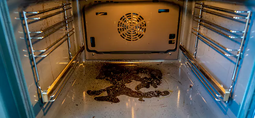 Our Dryer Vent Mold Cleaning Services in Herndon, VA