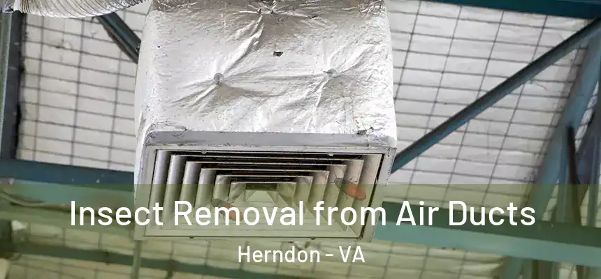 Insect Removal from Air Ducts Herndon - VA