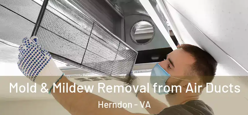 Mold & Mildew Removal from Air Ducts Herndon - VA