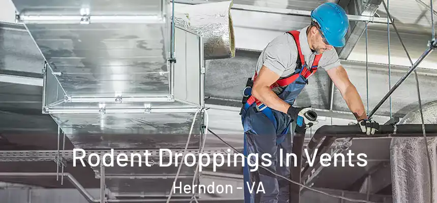 Rodent Droppings In Vents Herndon - VA