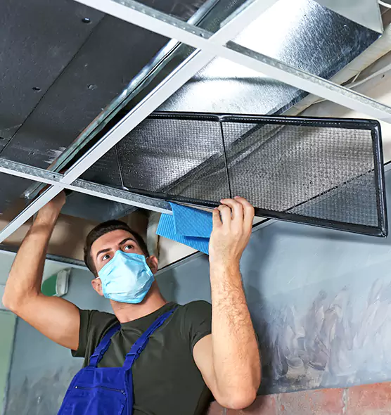 About Air Duct Bacteria Removal in Herndon