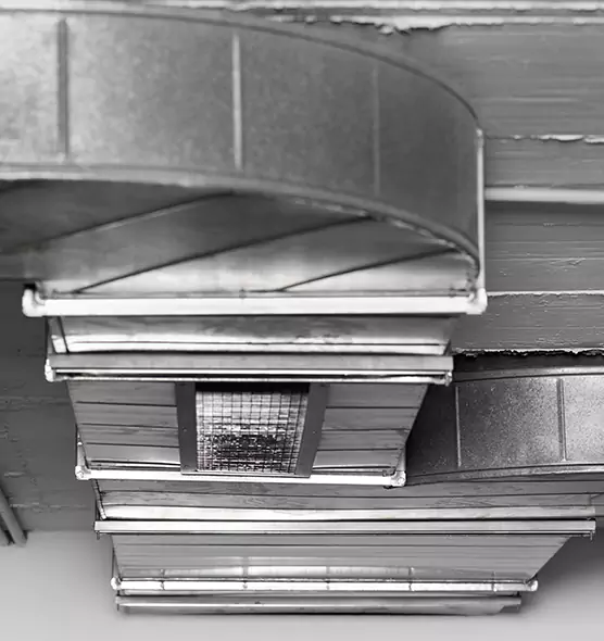 Professional Air Duct Pet Hair Removal in Herndon, VA