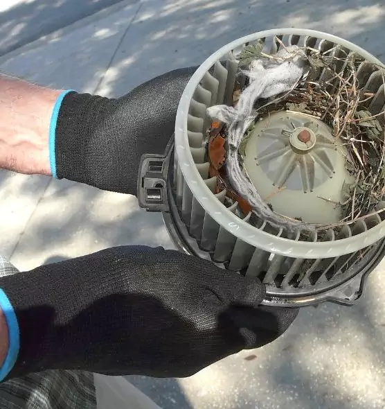 About Air Duct Rat Removal in Herndon, VA