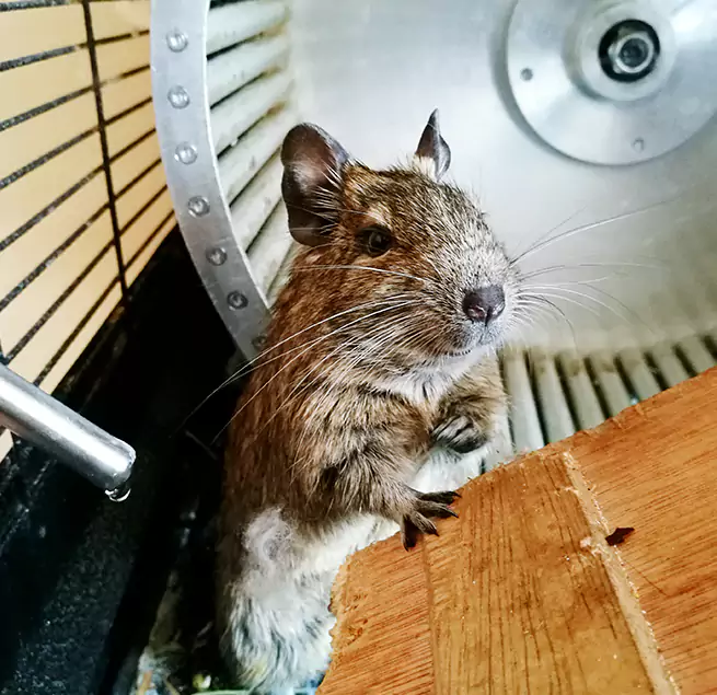 Why Homeowners & Businesses Trust Us Herndon, VA?