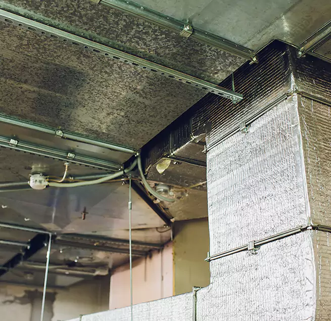 Why Homeowners & Businesses Trust Us in Herndon, VA?